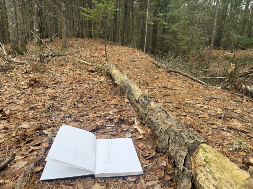 Un journal près de la côte|367