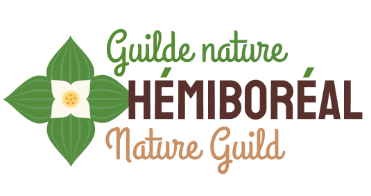 hemiboreal logo